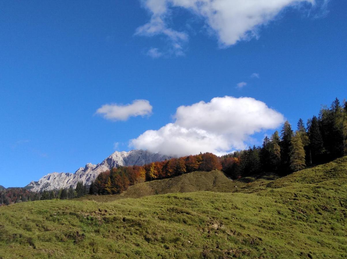 Ferienwohnungen Recherhof Hochfilzen Esterno foto