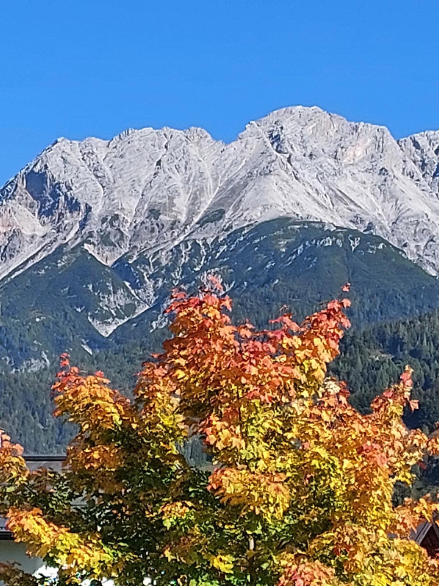 Ferienwohnungen Recherhof Hochfilzen Esterno foto