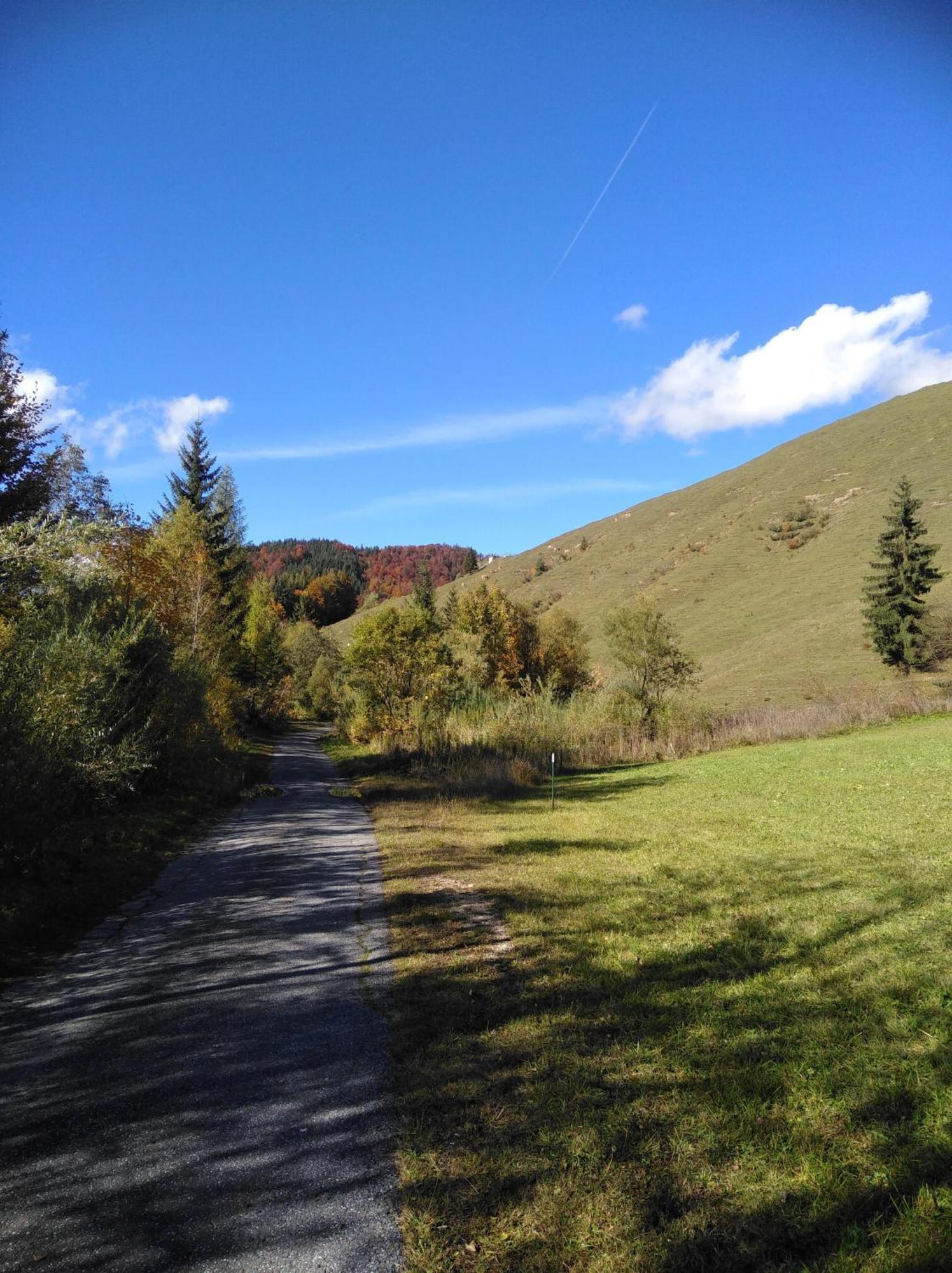 Ferienwohnungen Recherhof Hochfilzen Esterno foto